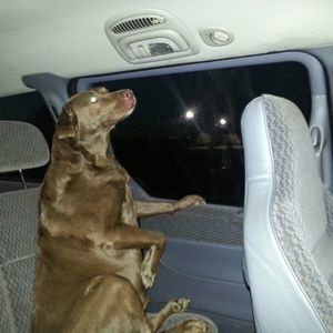 Meet your Posher, Delbert lee